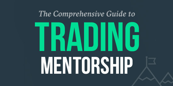 mentor ebook