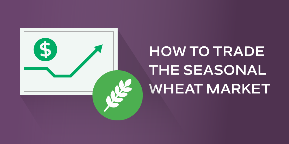 how to trade the seasonal wheat market